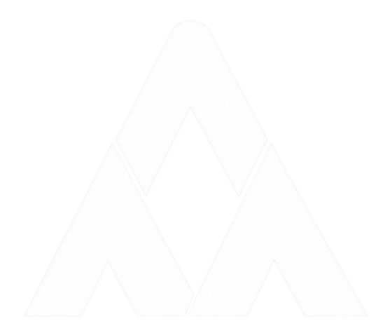 AAA Auto Group LLC